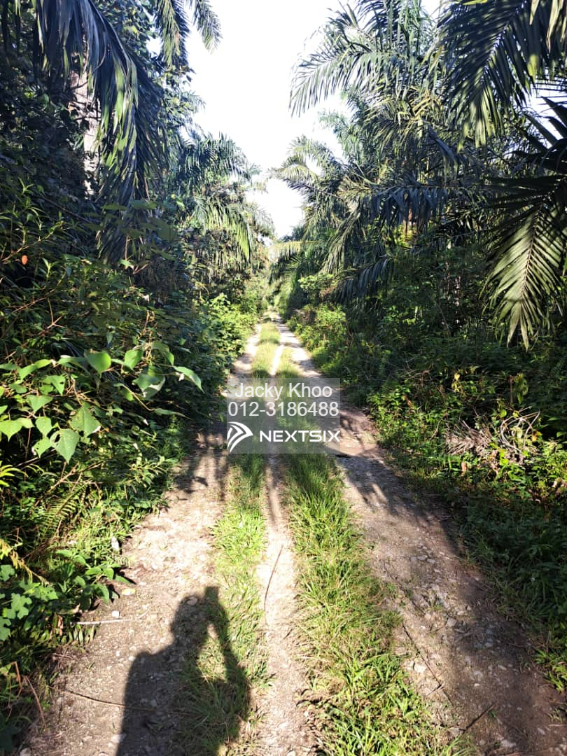 Agricultural Land For Sale in Tanjong Sepat Selangor