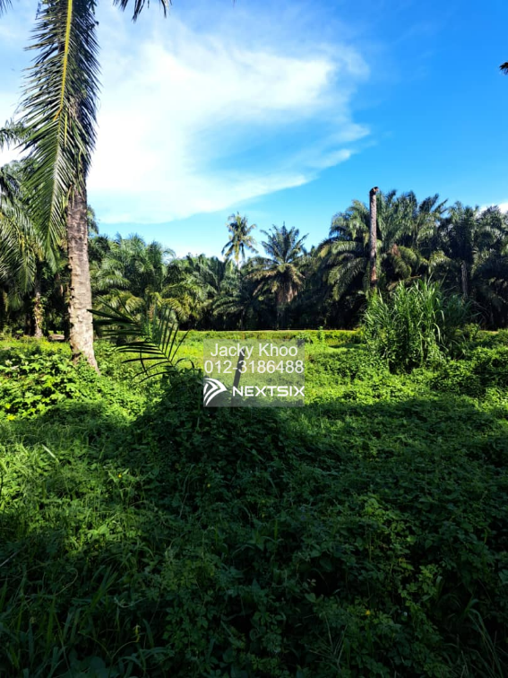 Agricultural Land For Sale in Tanjong Sepat Selangor - Image 5