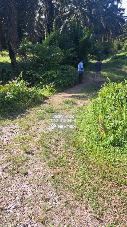 Agricultural Land For Sale in Tanjong Sepat Selangor - Image 6