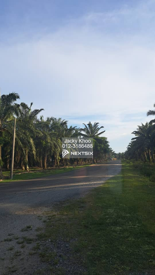 Agricultural Land For Sale in Kuala Langat Selangor - Image 2