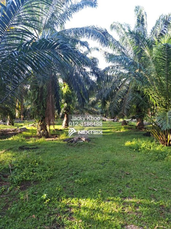 Agricultural Land For Sale in Kuala Langat Selangor - Image 4