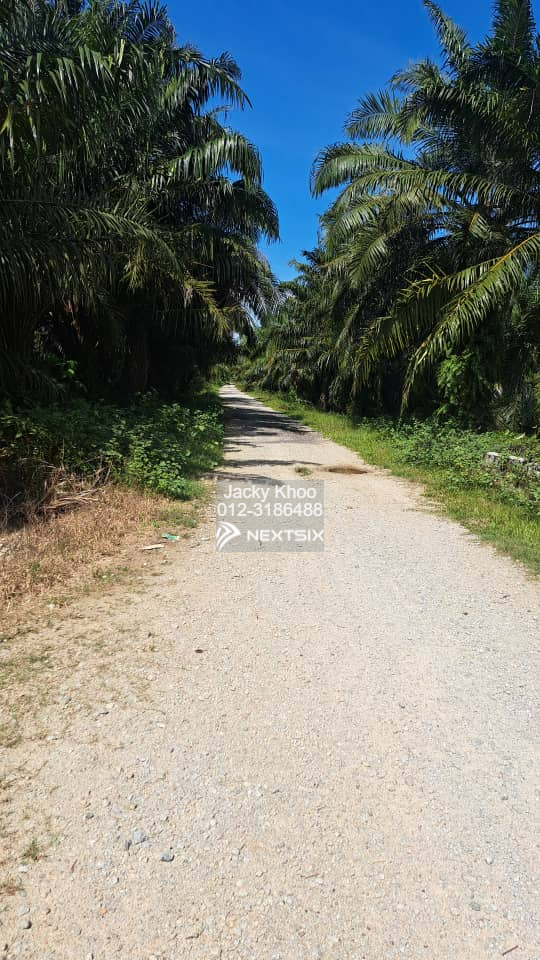 Agricultural Land For Sale in Tanjong Sepat Selangor - Image 3