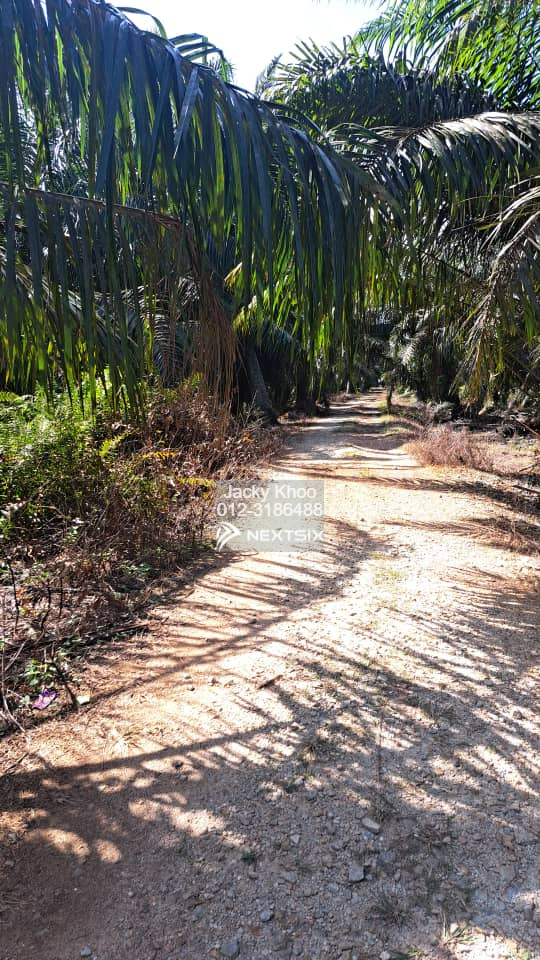 Agricultural Land For Sale in Tanjong Sepat Selangor - Image 6