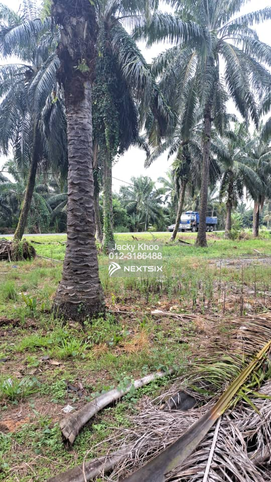 Cheeding, Kuala Langat 4 Acres Industry Land for Sale
