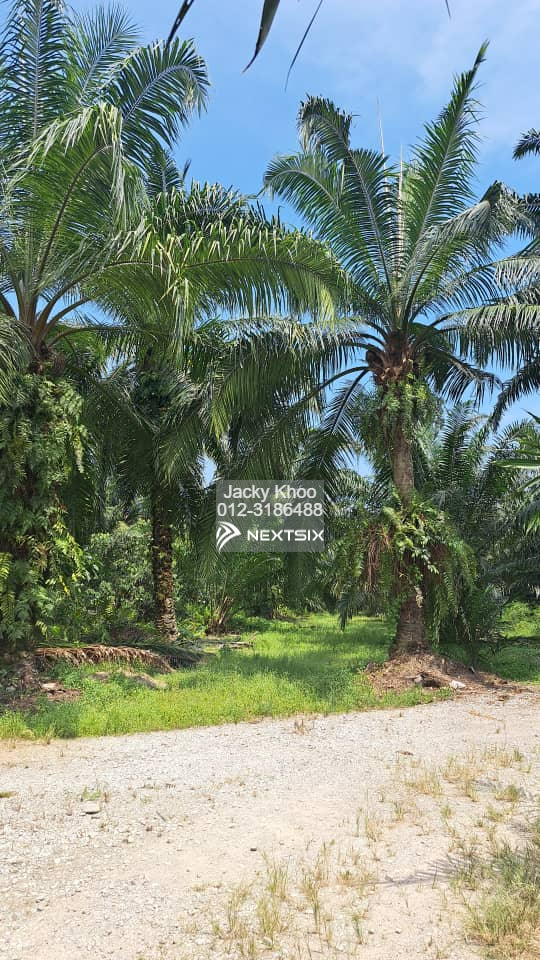 Industrial Land For Sale in Telok Panglima Garang Selangor - Image 4