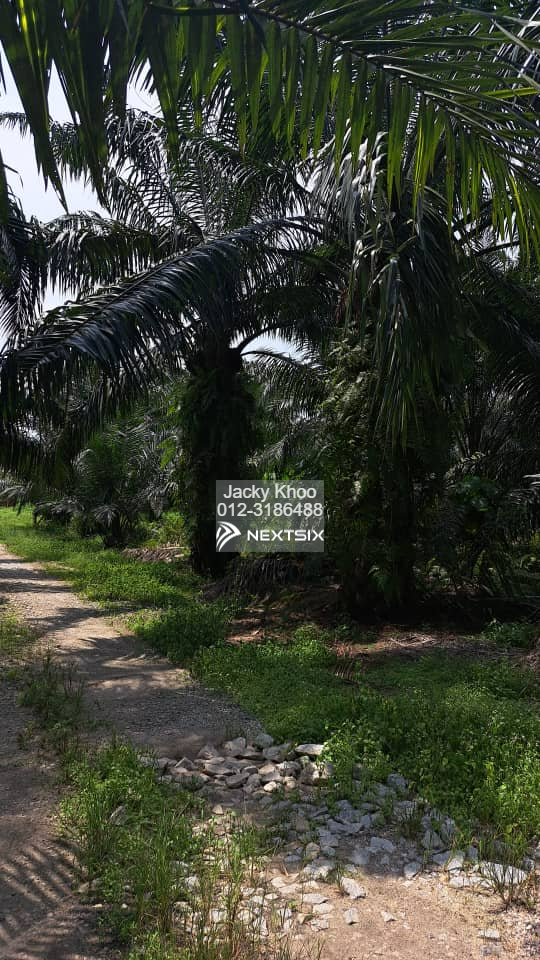Industrial Land For Sale in Telok Panglima Garang Selangor - Image 5
