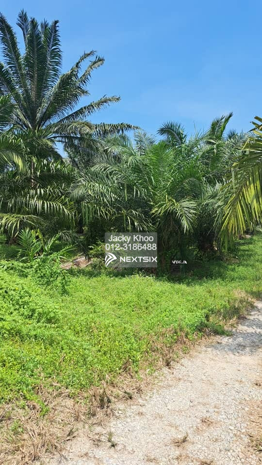 Industrial Land For Sale in Telok Panglima Garang Selangor - Image 6