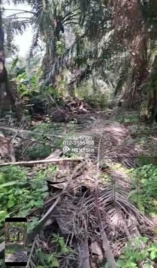 Agricultural Land For Sale in Tanjong Sepat Selangor - Image 7