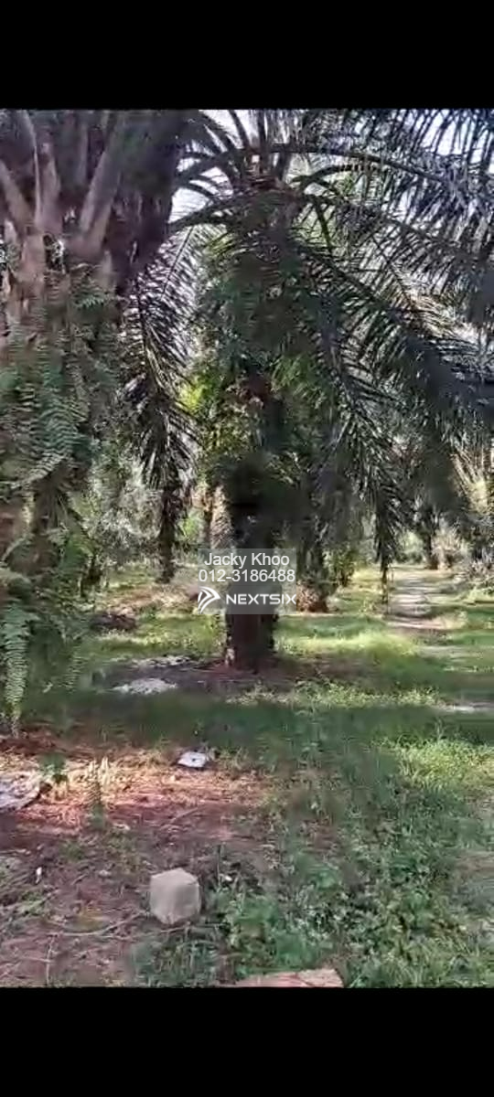 Agricultural Land For Sale in Banting Selangor