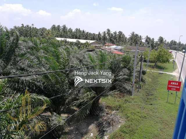 Agricultural Land For Sale in Kuala Selangor Selangor