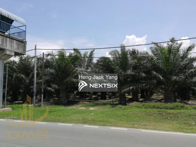 Agricultural Land For Sale in Kuala Selangor Selangor - Image 2