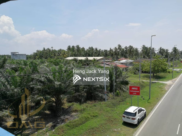 Agricultural Land For Sale in Kuala Selangor Selangor - Image 3