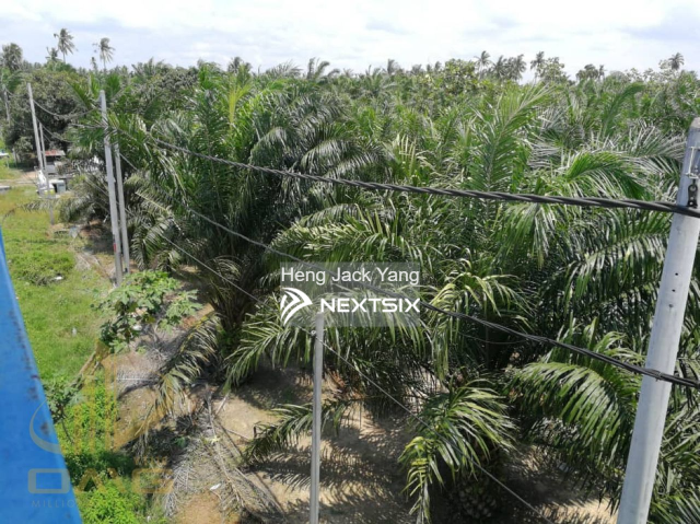 Agricultural Land For Sale in Kuala Selangor Selangor - Image 6