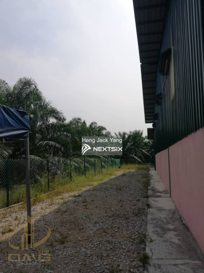 Agricultural Land For Sale in Kuala Selangor Selangor - Image 5