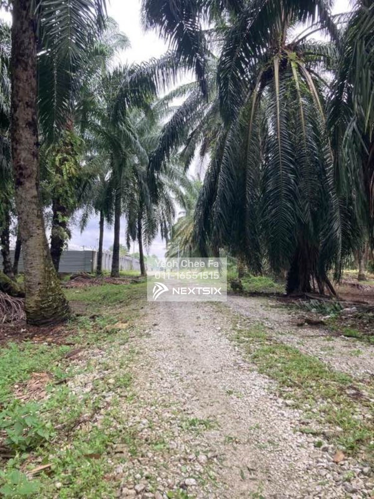 Industrial Land For Sale in Telok Panglima Garang Selangor - Image 3