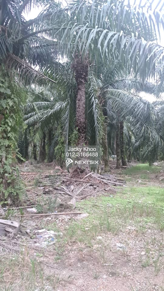 Agricultural Land For Sale in Klang Selangor - Image 3