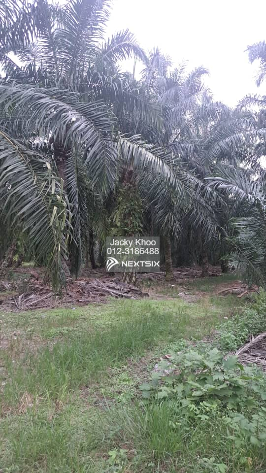 Agricultural Land For Sale in Klang Selangor - Image 4