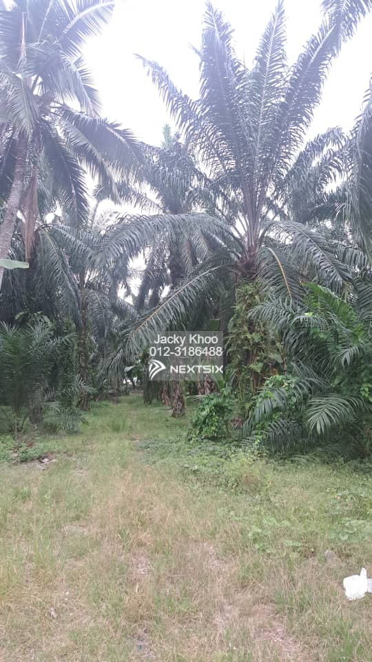 Agricultural Land For Sale in Klang Selangor