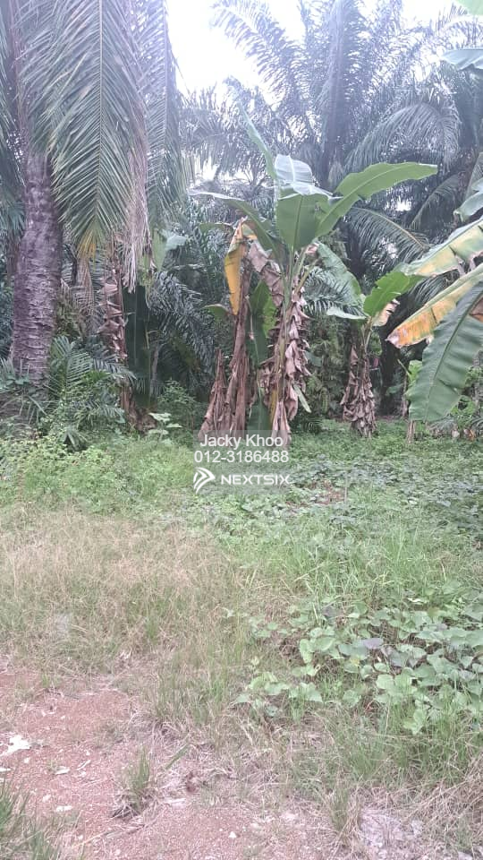 Agricultural Land For Sale in Klang Selangor - Image 6