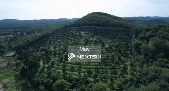 Agricultural Land For Sale in Alor Gajah Melaka - Image 3