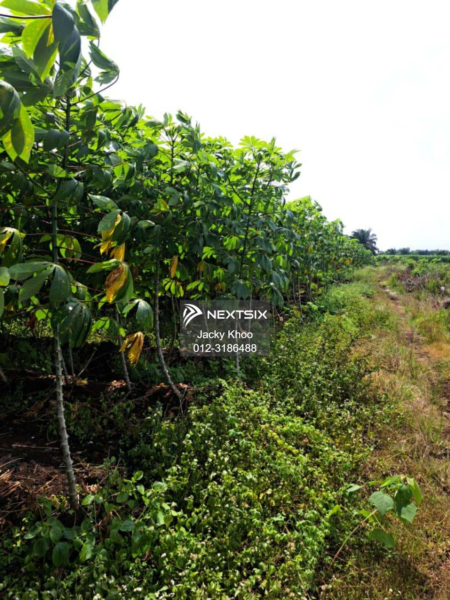 Agricultural Land For Sale in Klang Selangor - Image 9