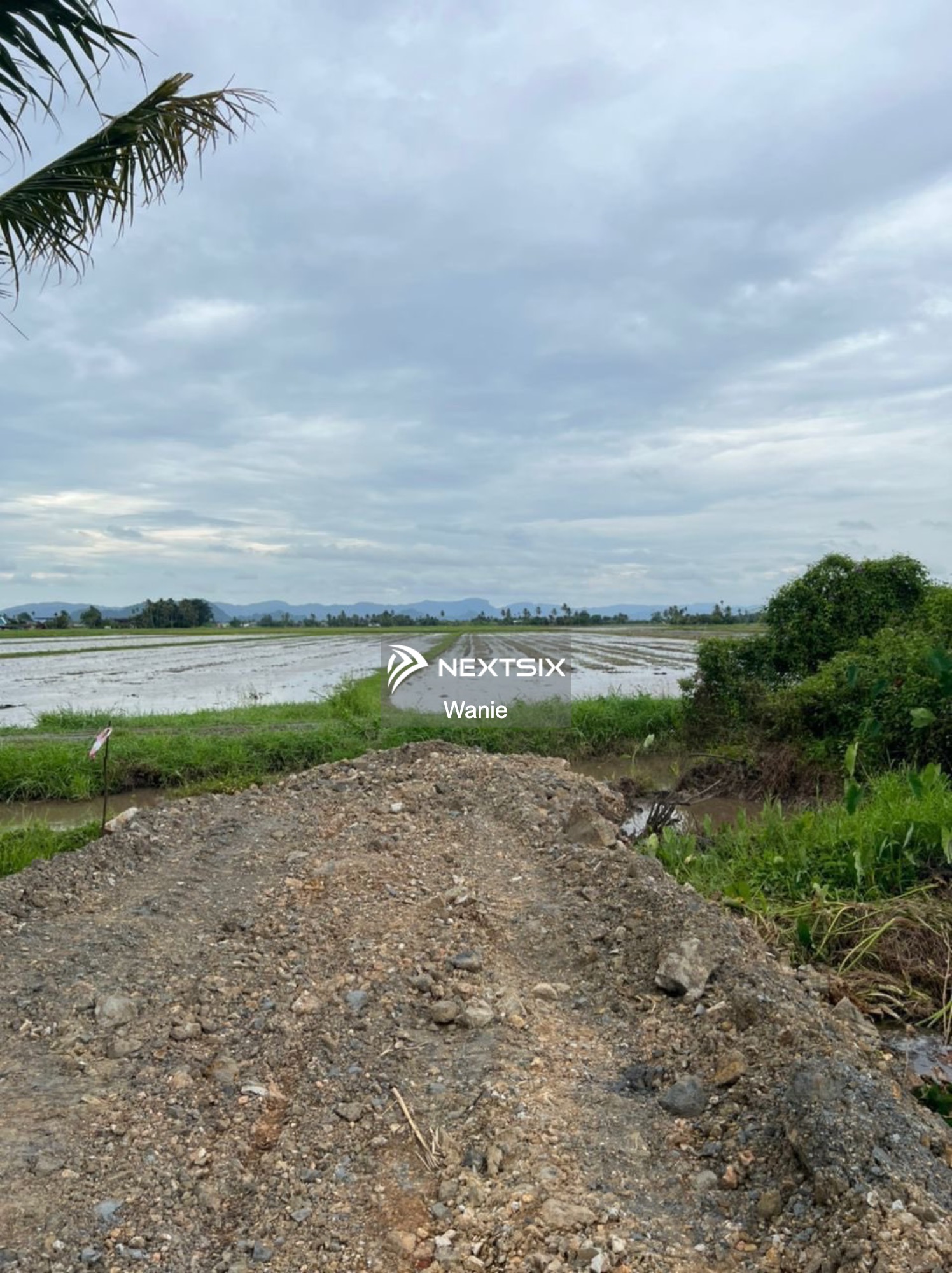 Agricultural Land For Sale in Arau Perlis