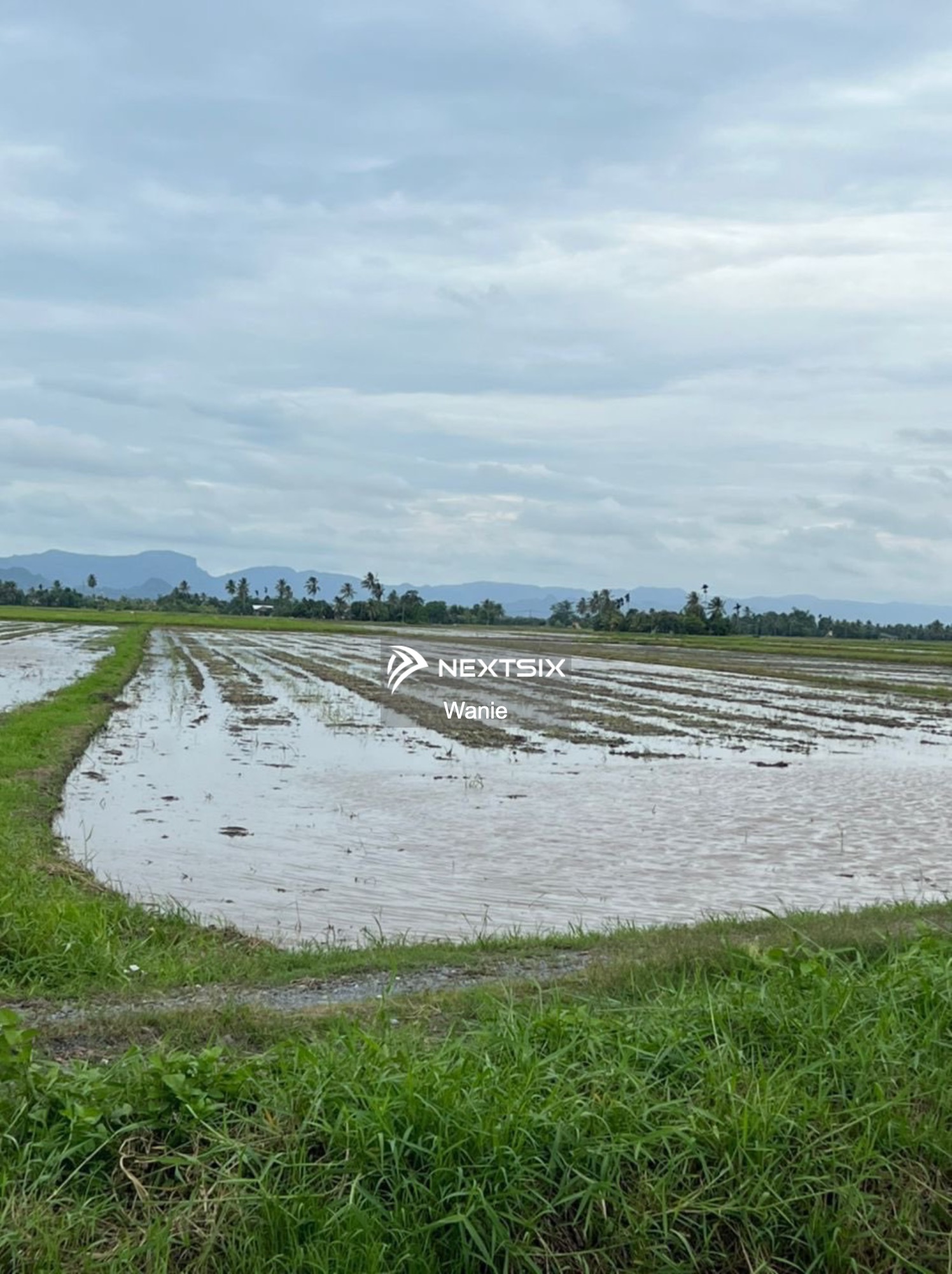 Agricultural Land For Sale in Arau Perlis - Image 4
