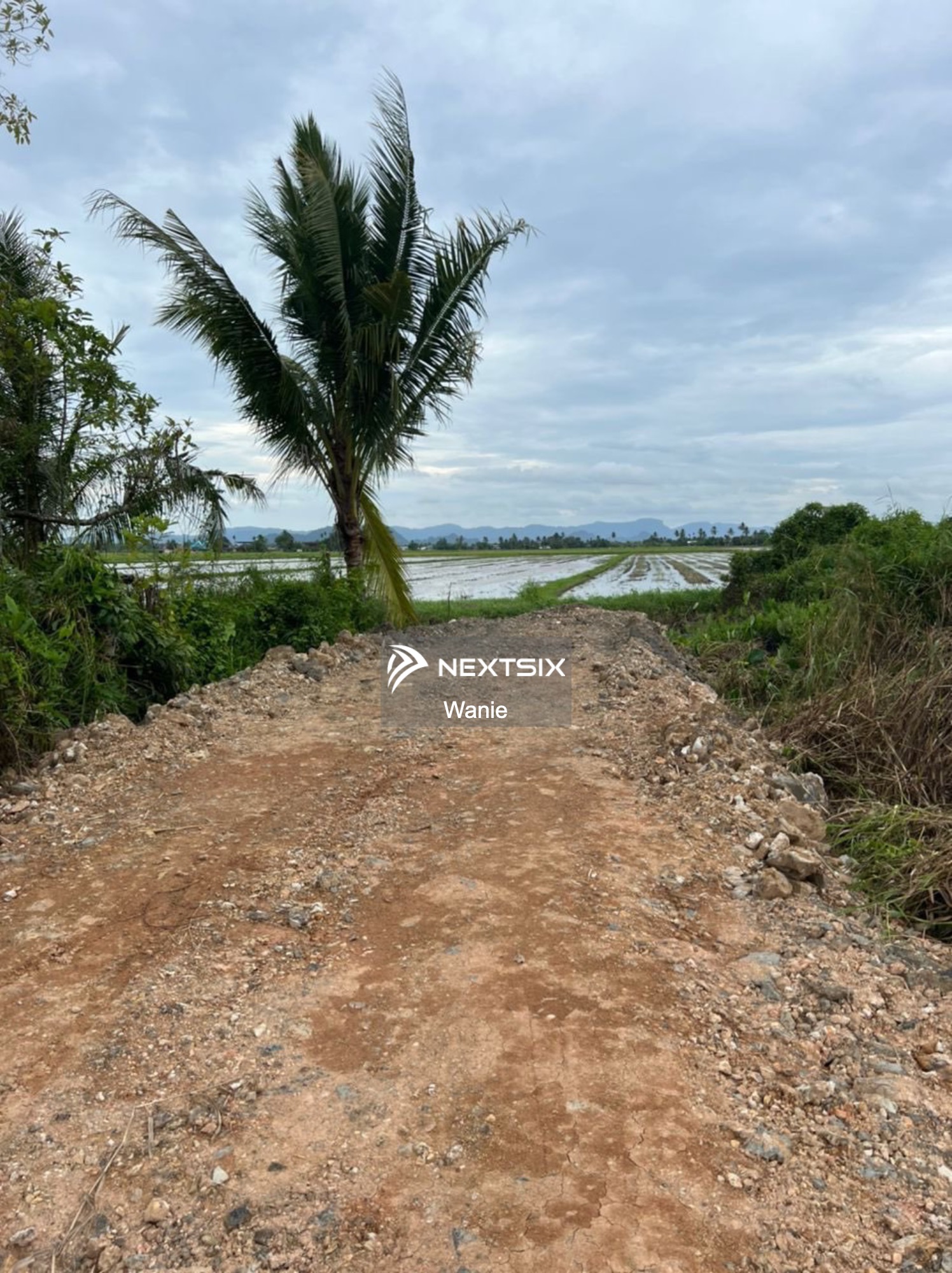 Agricultural Land For Sale in Arau Perlis - Image 5