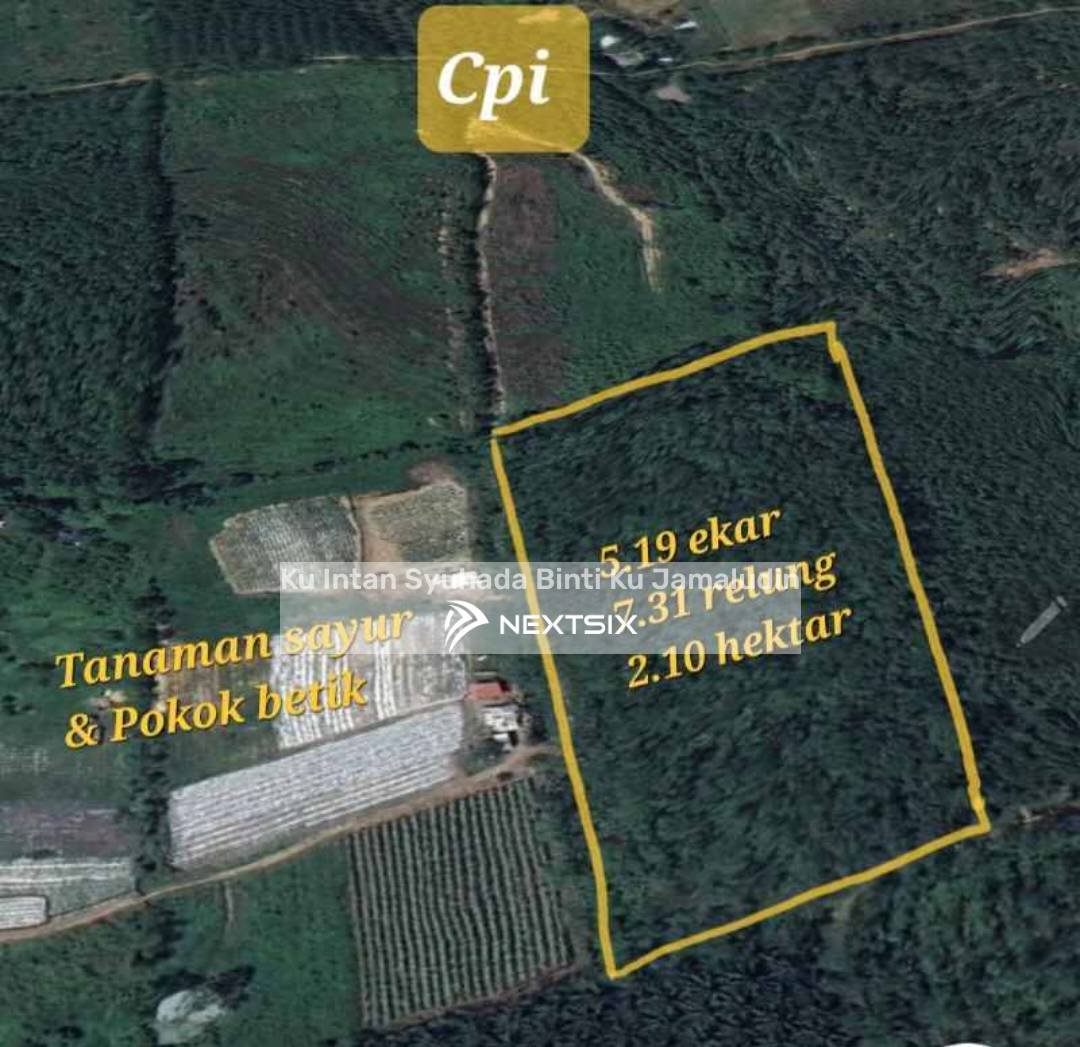 Agricultural Land For Sale in Gurun Kedah