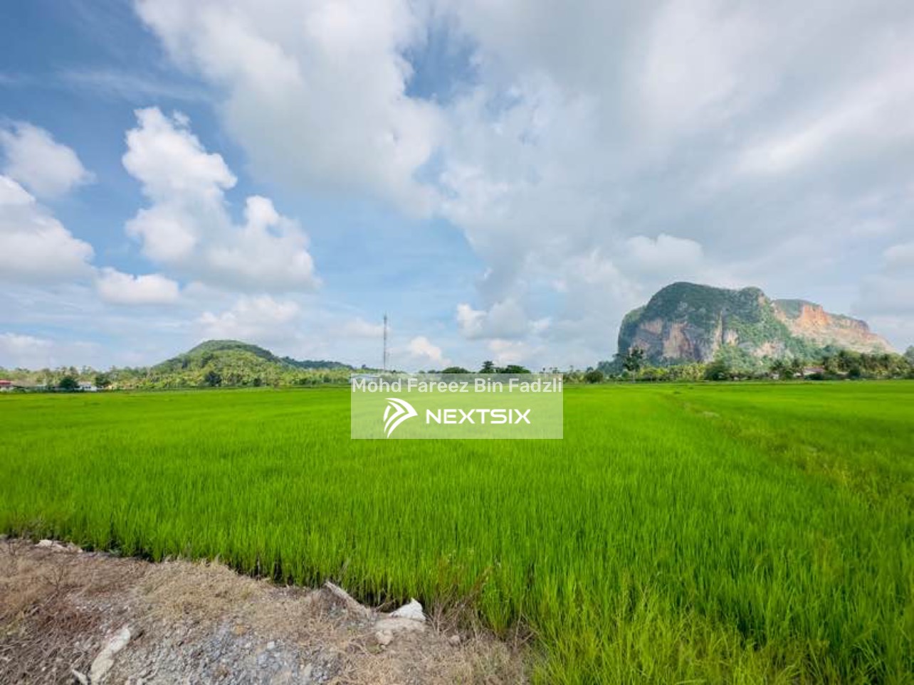 Agricultural Land For Sale in Kaki Bukit Perlis - Image 5