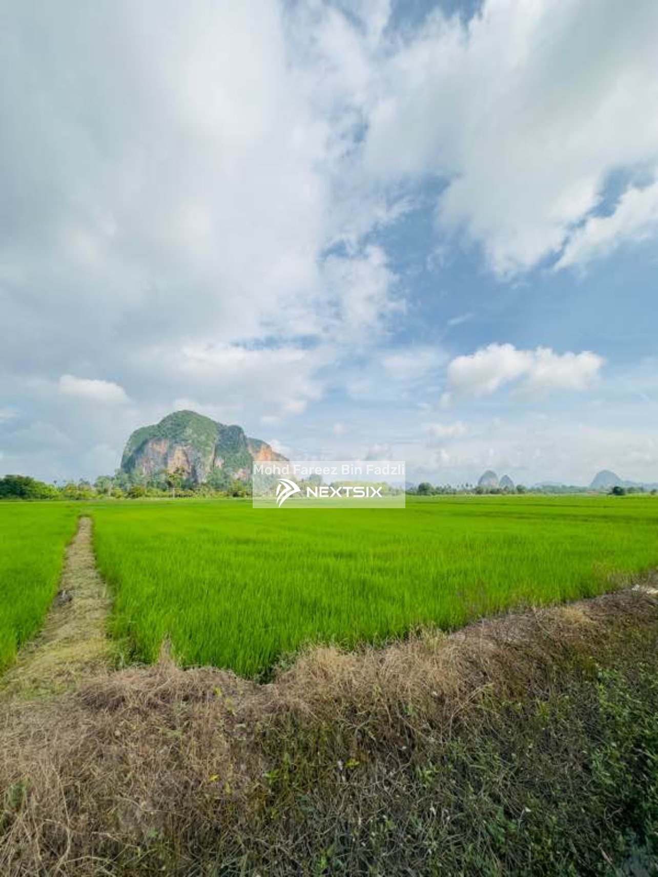 Agricultural Land For Sale in Kaki Bukit Perlis - Image 7