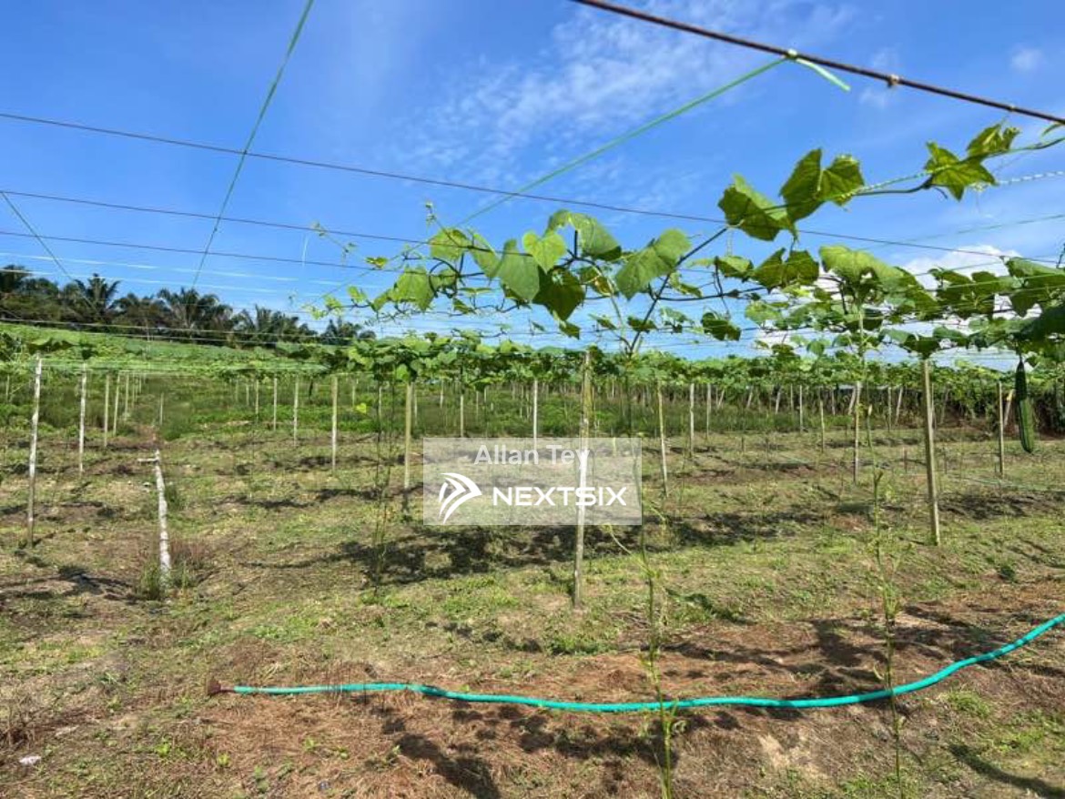Agricultural Land For Sale in Kulai Johor