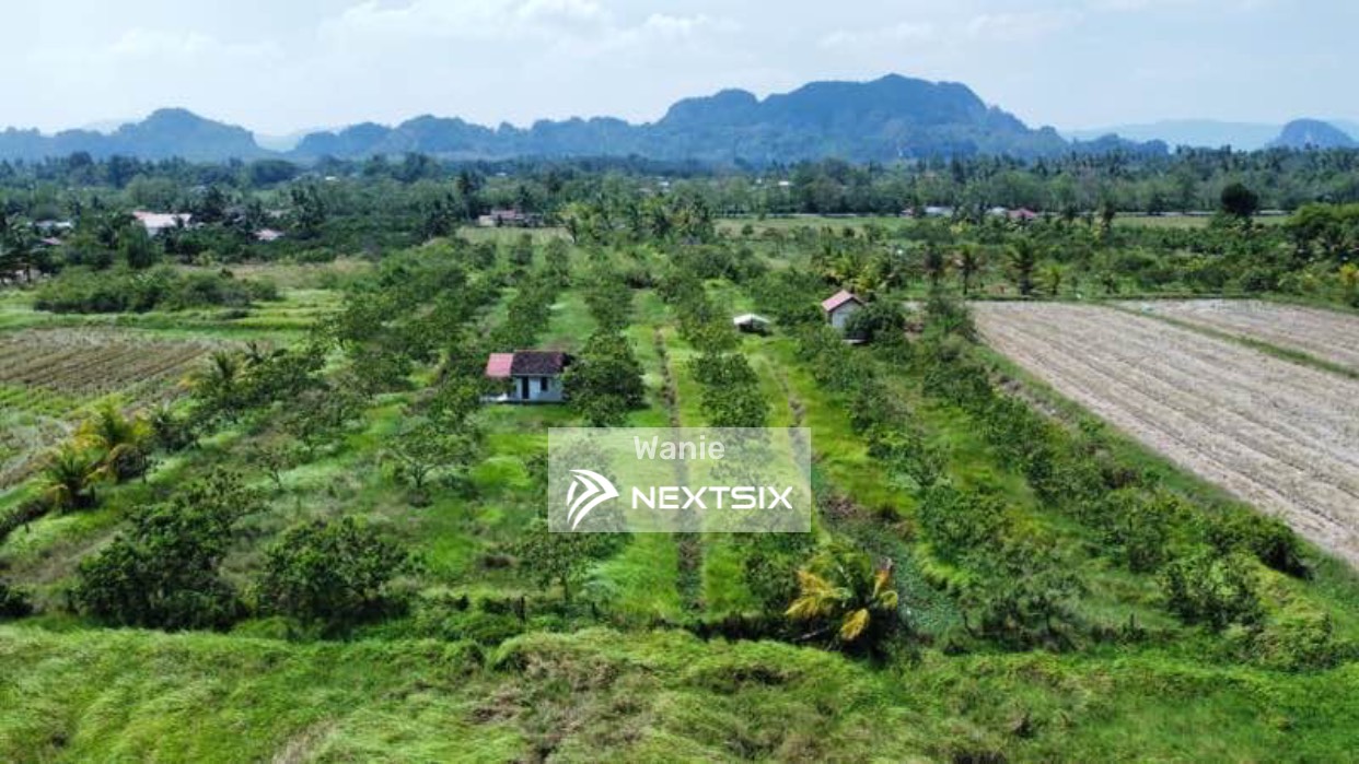 Agricultural Land For Sale in Kangar Perlis - Image 5