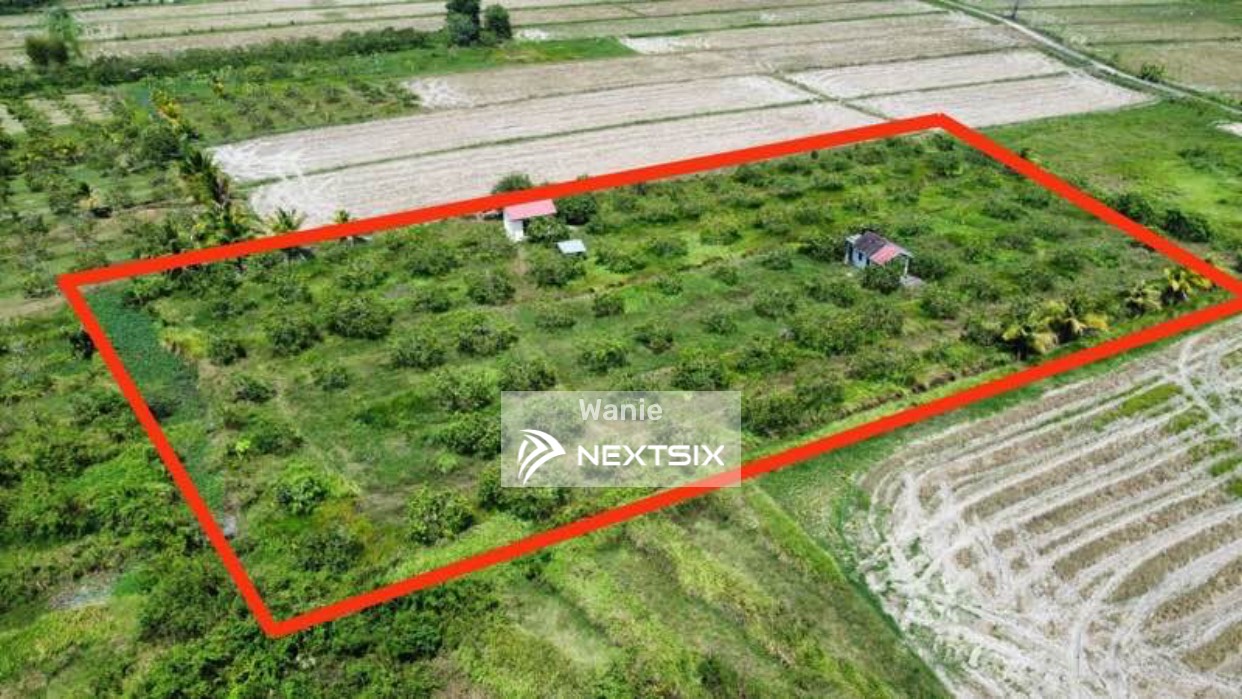Agricultural Land For Sale in Kangar Perlis - Image 6