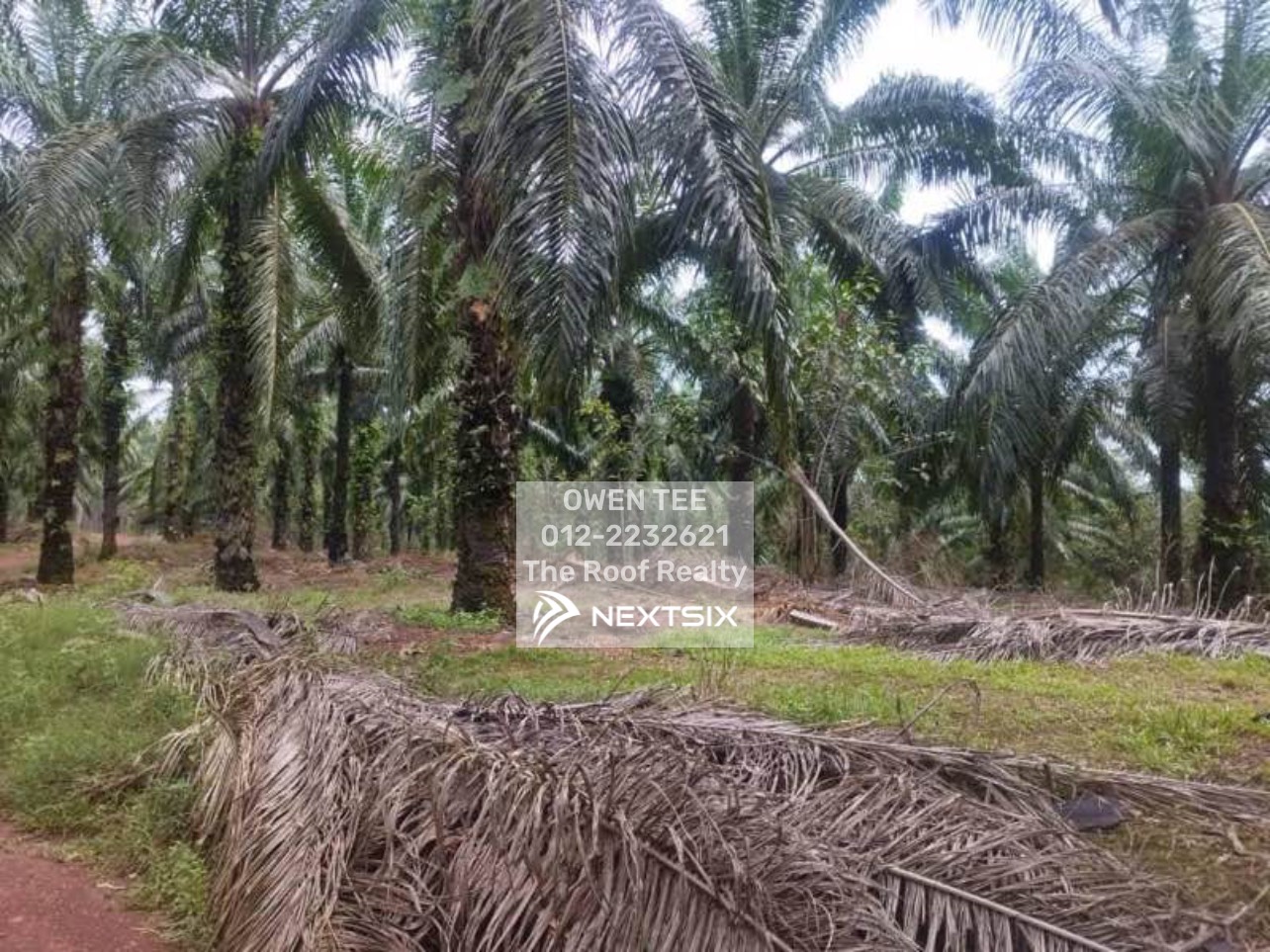 Agricultural Land For Sale in Raub Pahang