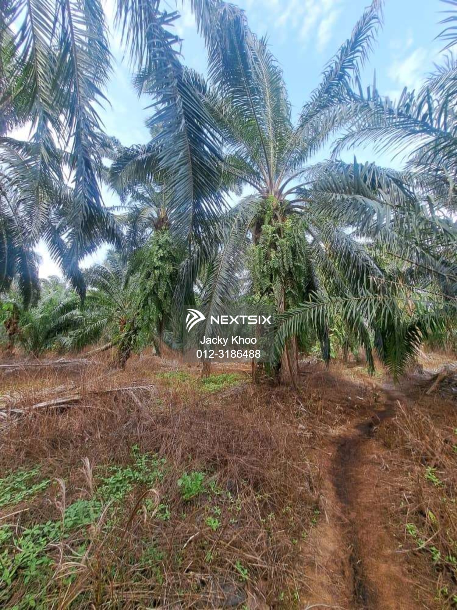 Agricultural Land For Sale in Klang Selangor - Image 3