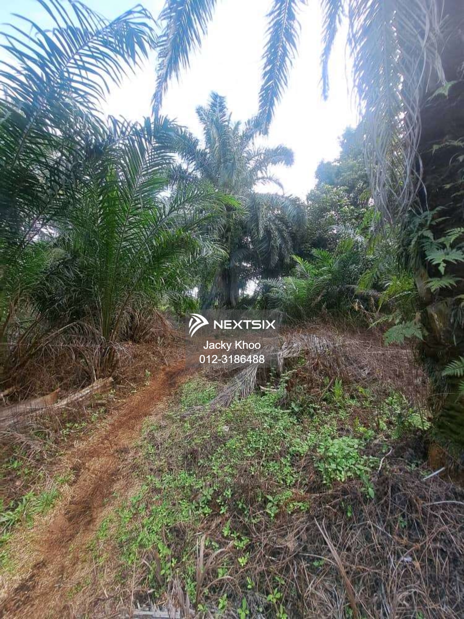 Agricultural Land For Sale in Klang Selangor - Image 10