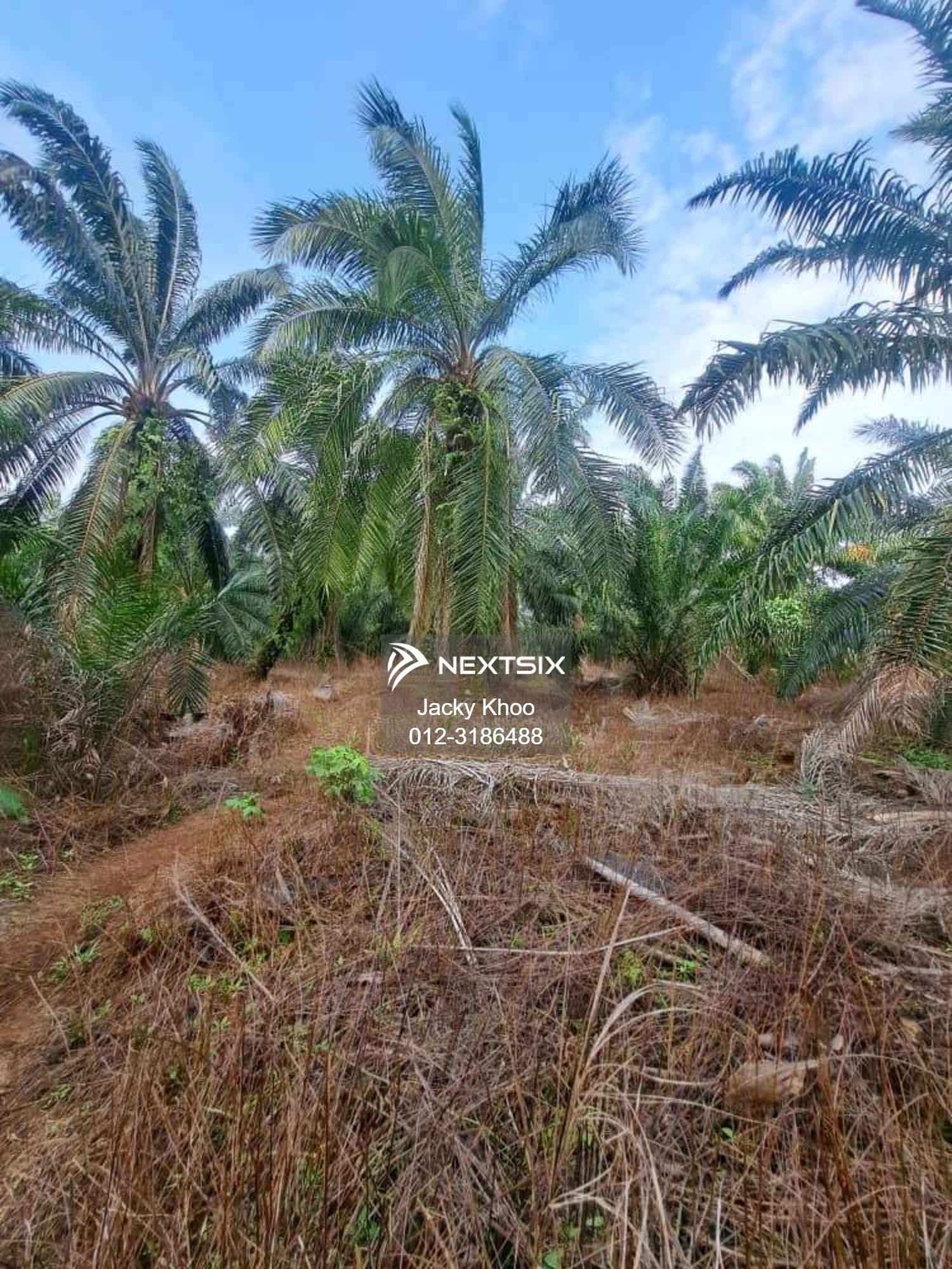 Agricultural Land For Sale in Klang Selangor