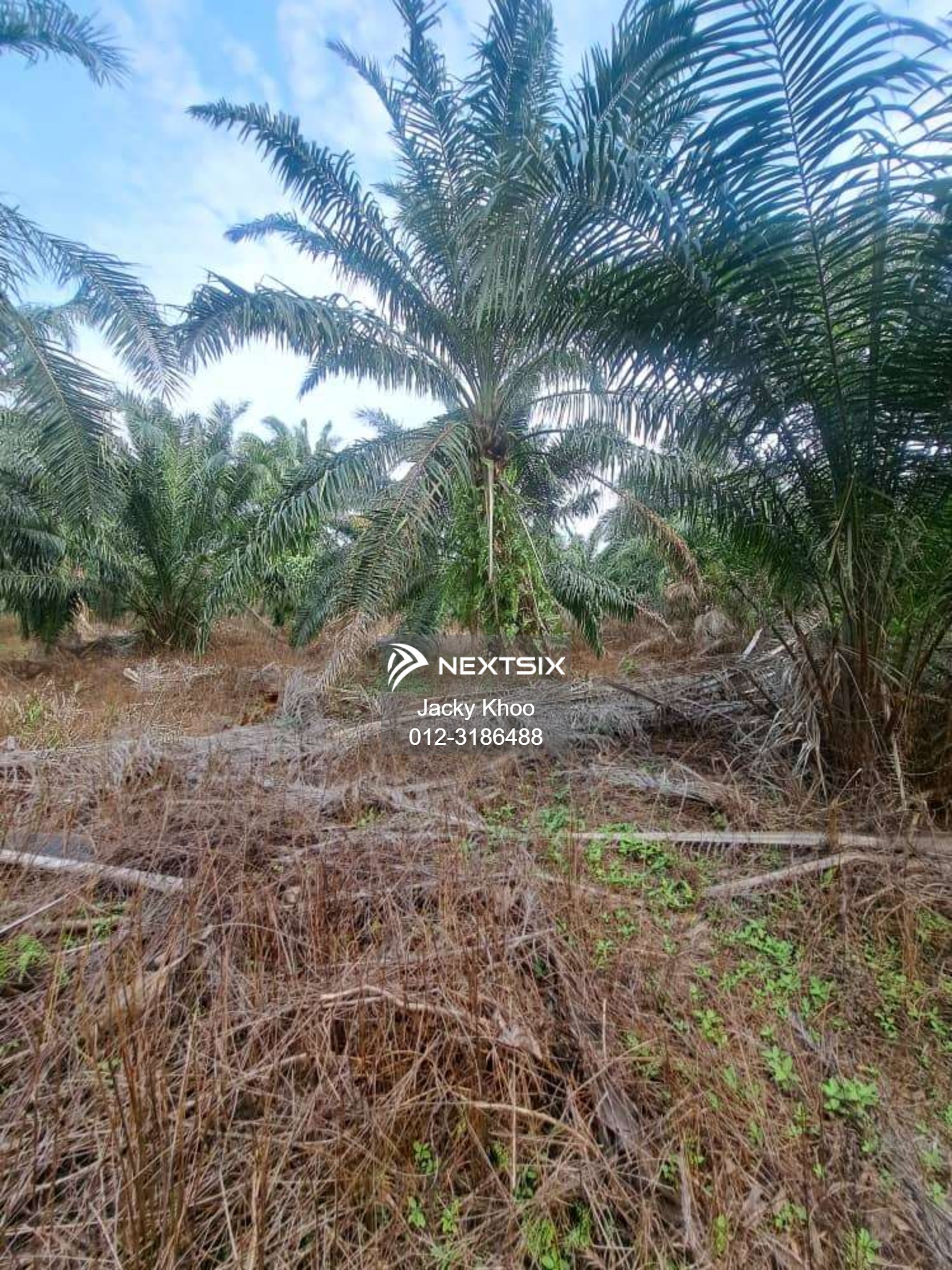 Agricultural Land For Sale in Klang Selangor - Image 5