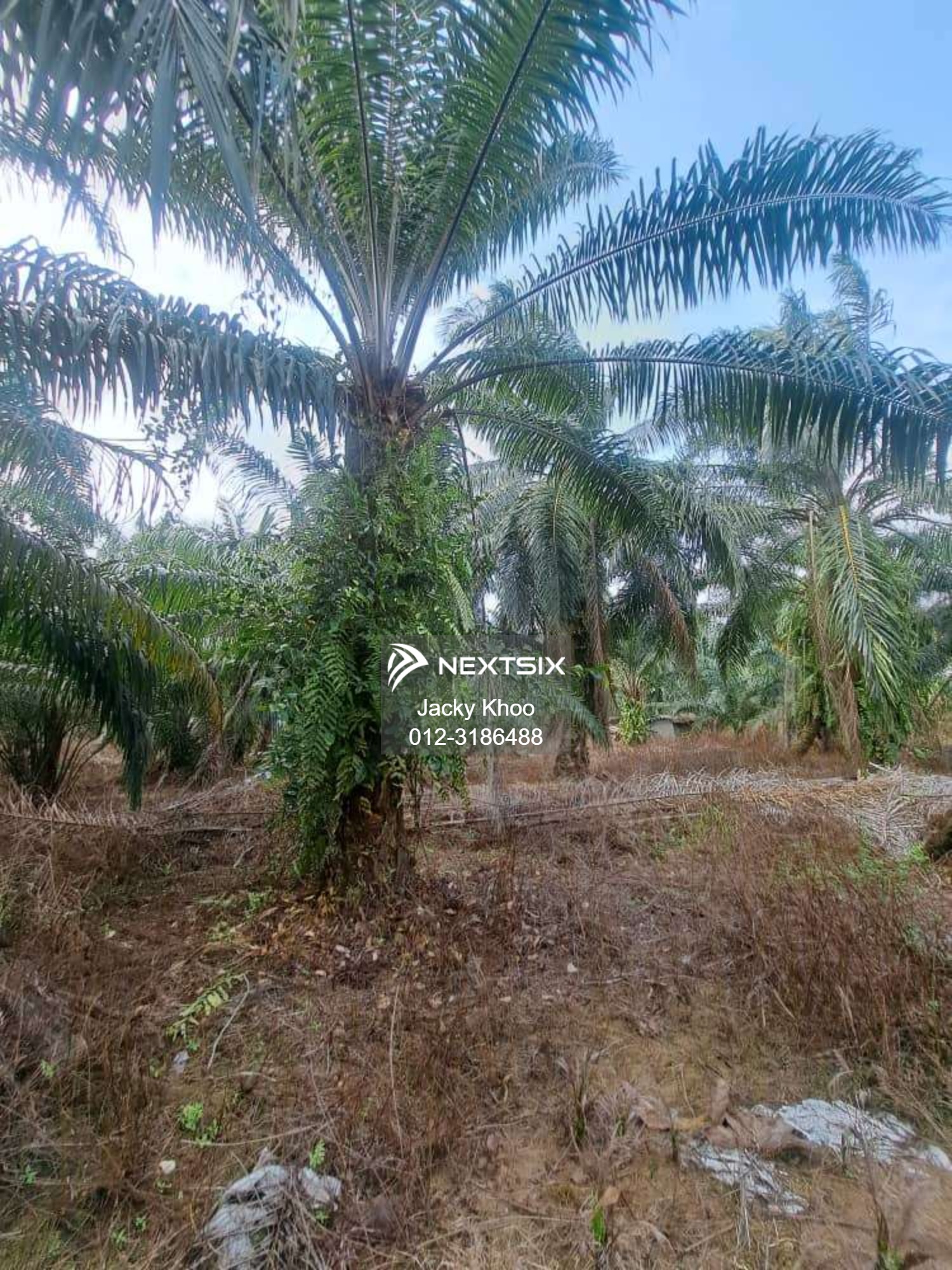 Agricultural Land For Sale in Klang Selangor - Image 6