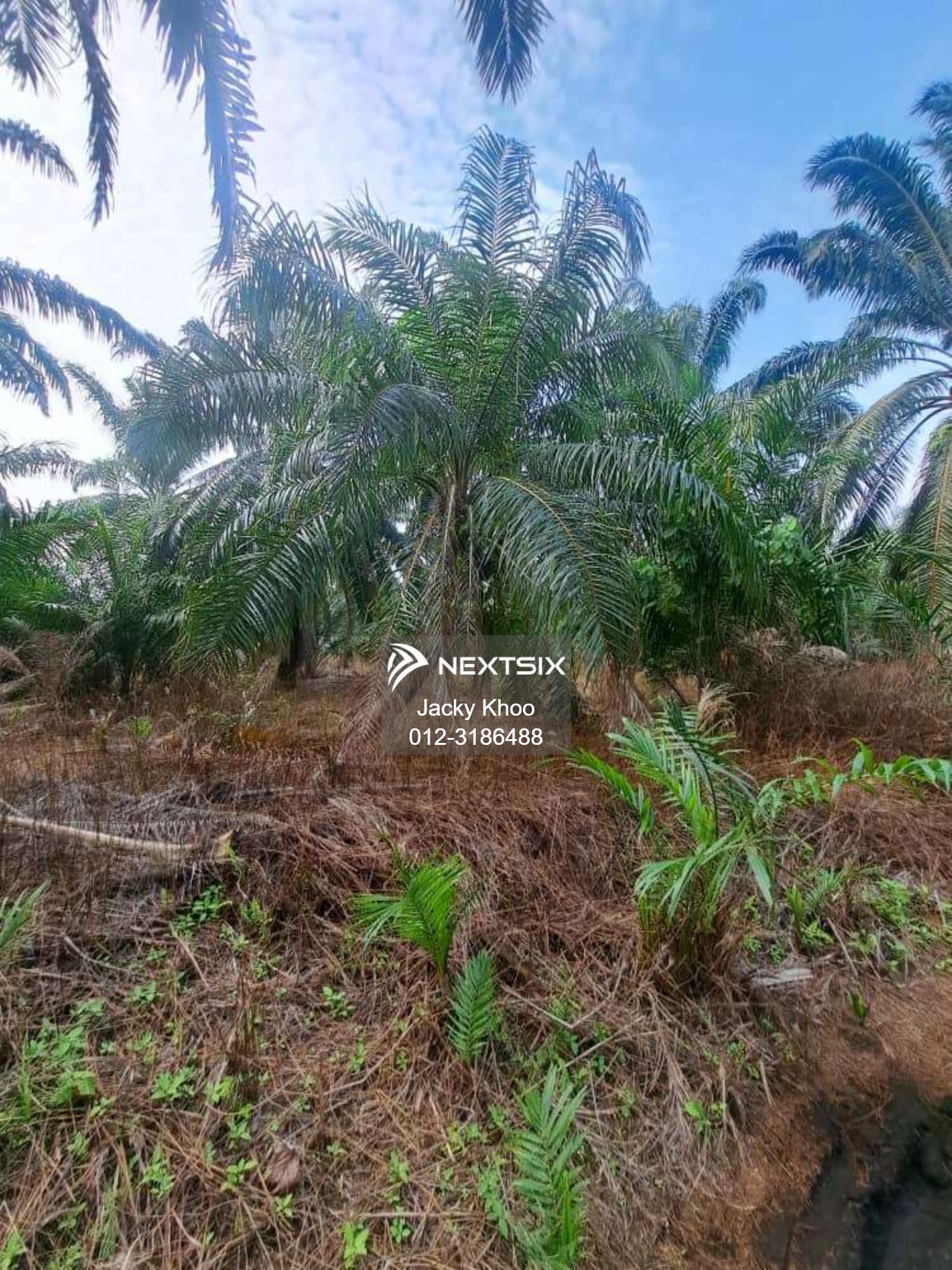 Agricultural Land For Sale in Klang Selangor - Image 7