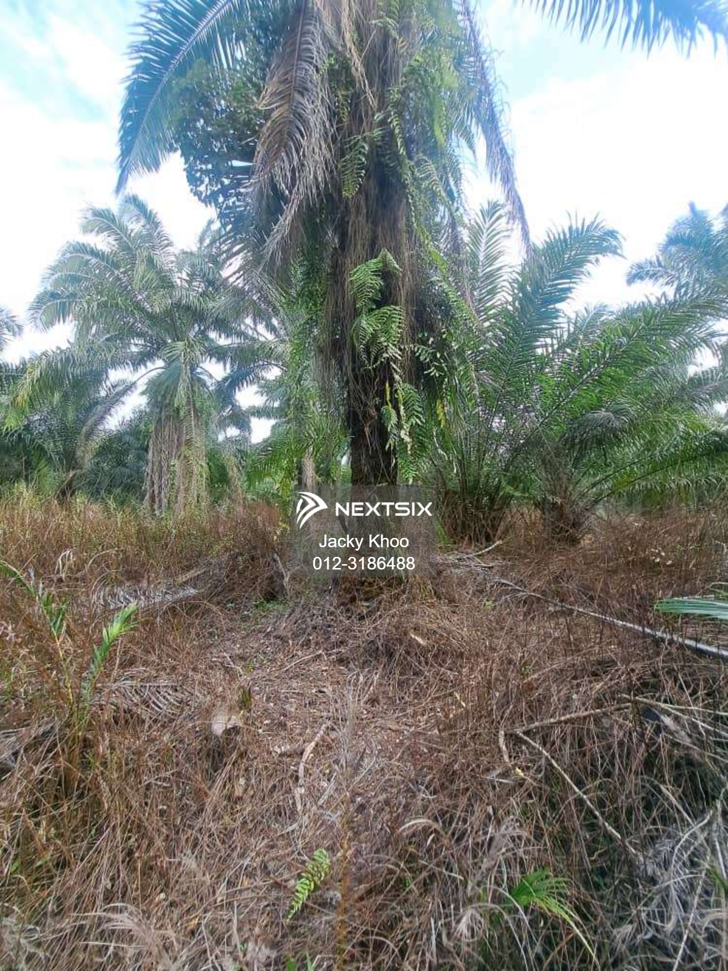 Agricultural Land For Sale in Klang Selangor - Image 8