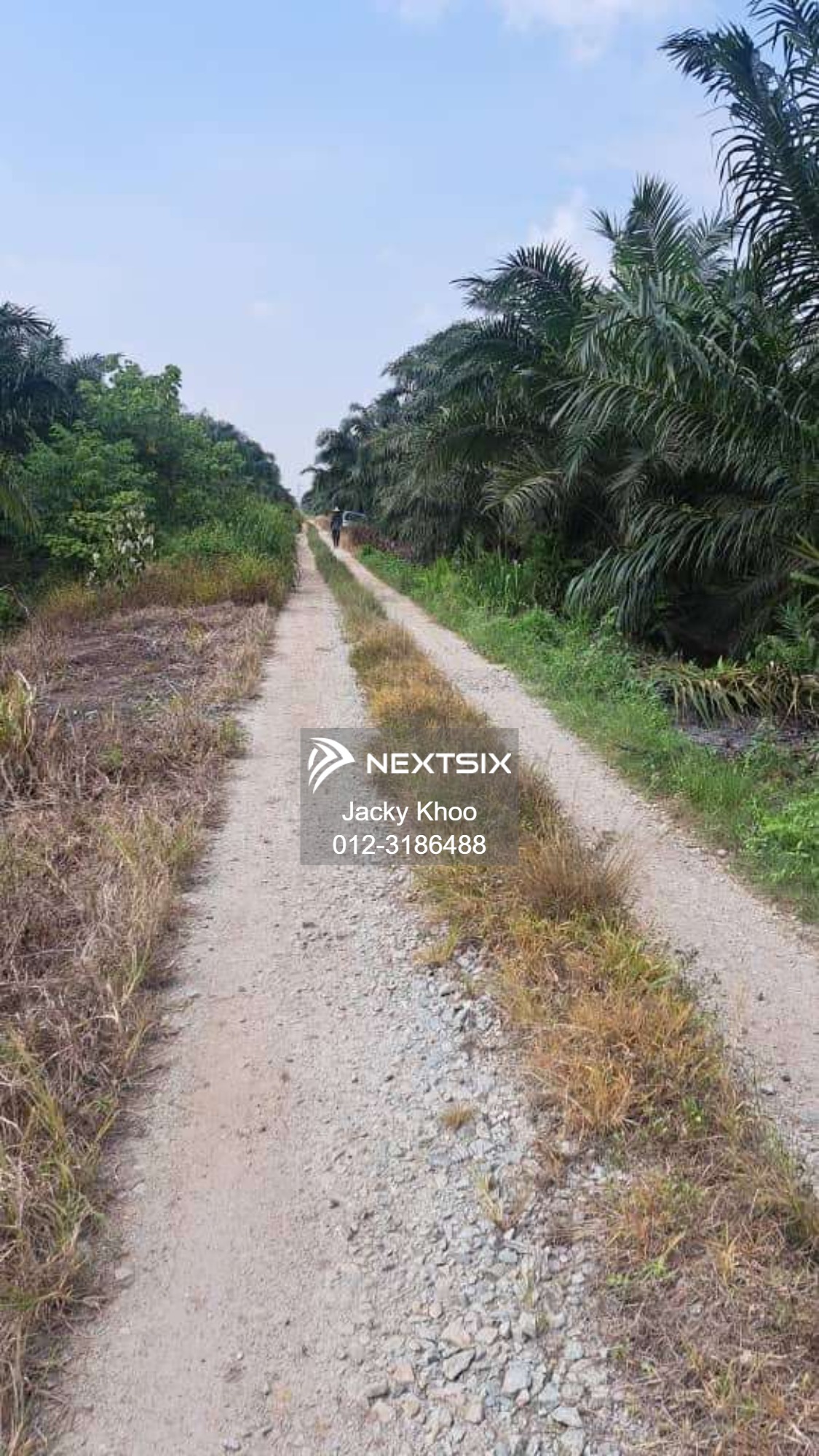 Agricultural Land For Sale in Kuala Langat Selangor