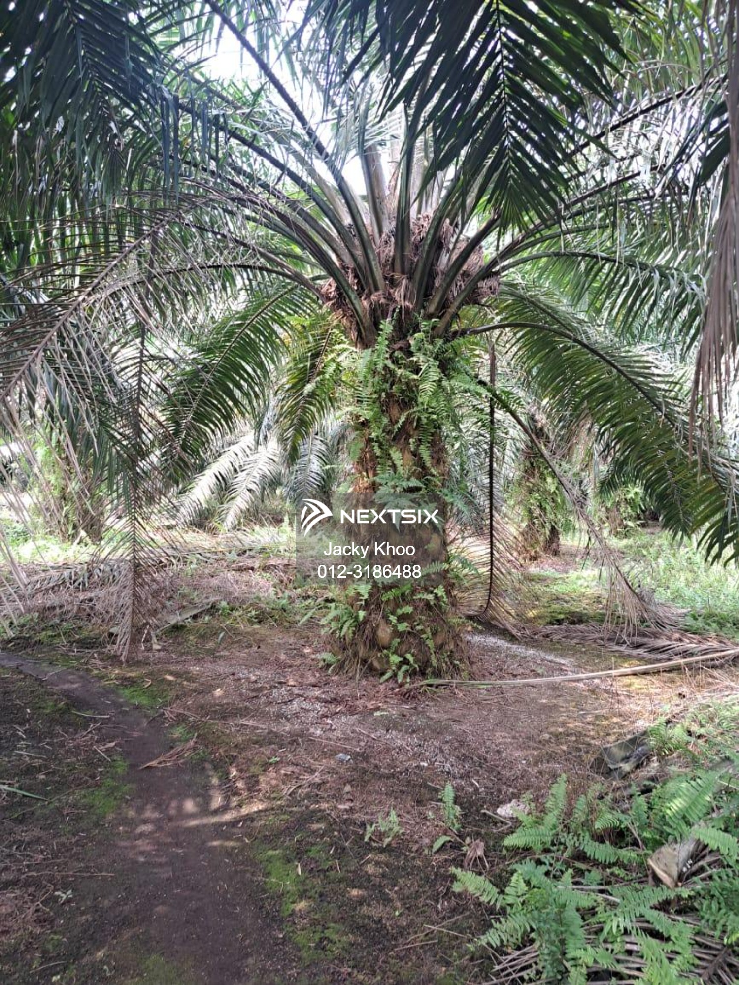 Agricultural Land For Sale in Kuala Langat Selangor - Image 11