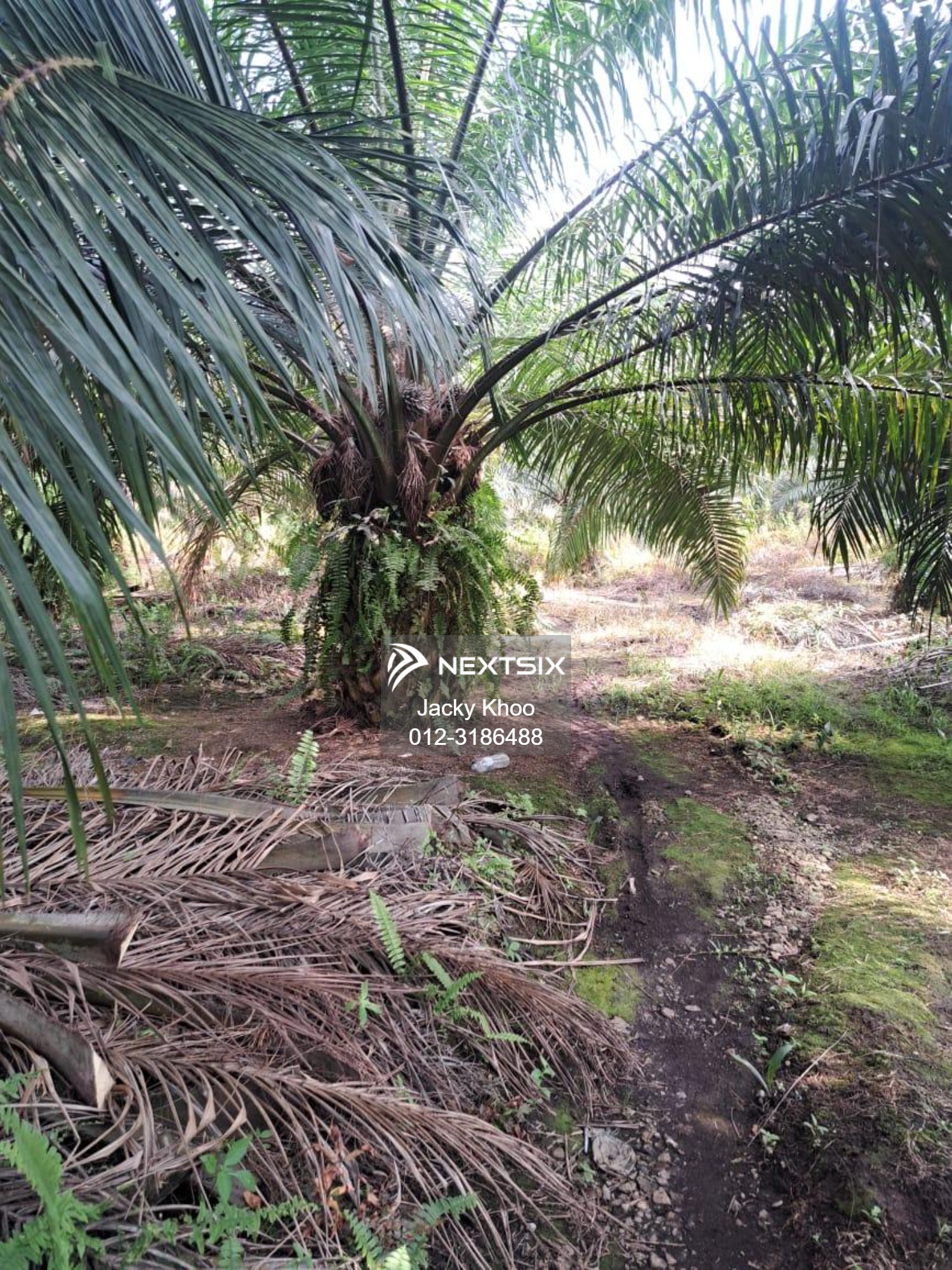 Agricultural Land For Sale in Kuala Langat Selangor - Image 15