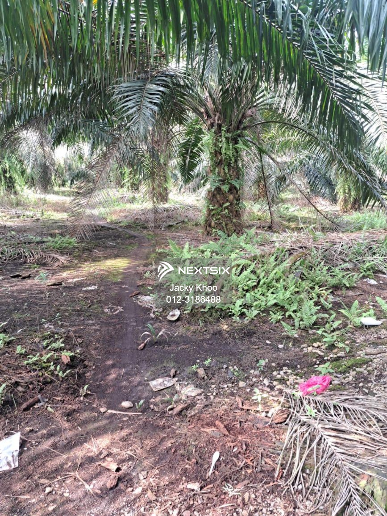 Agricultural Land For Sale in Kuala Langat Selangor - Image 5