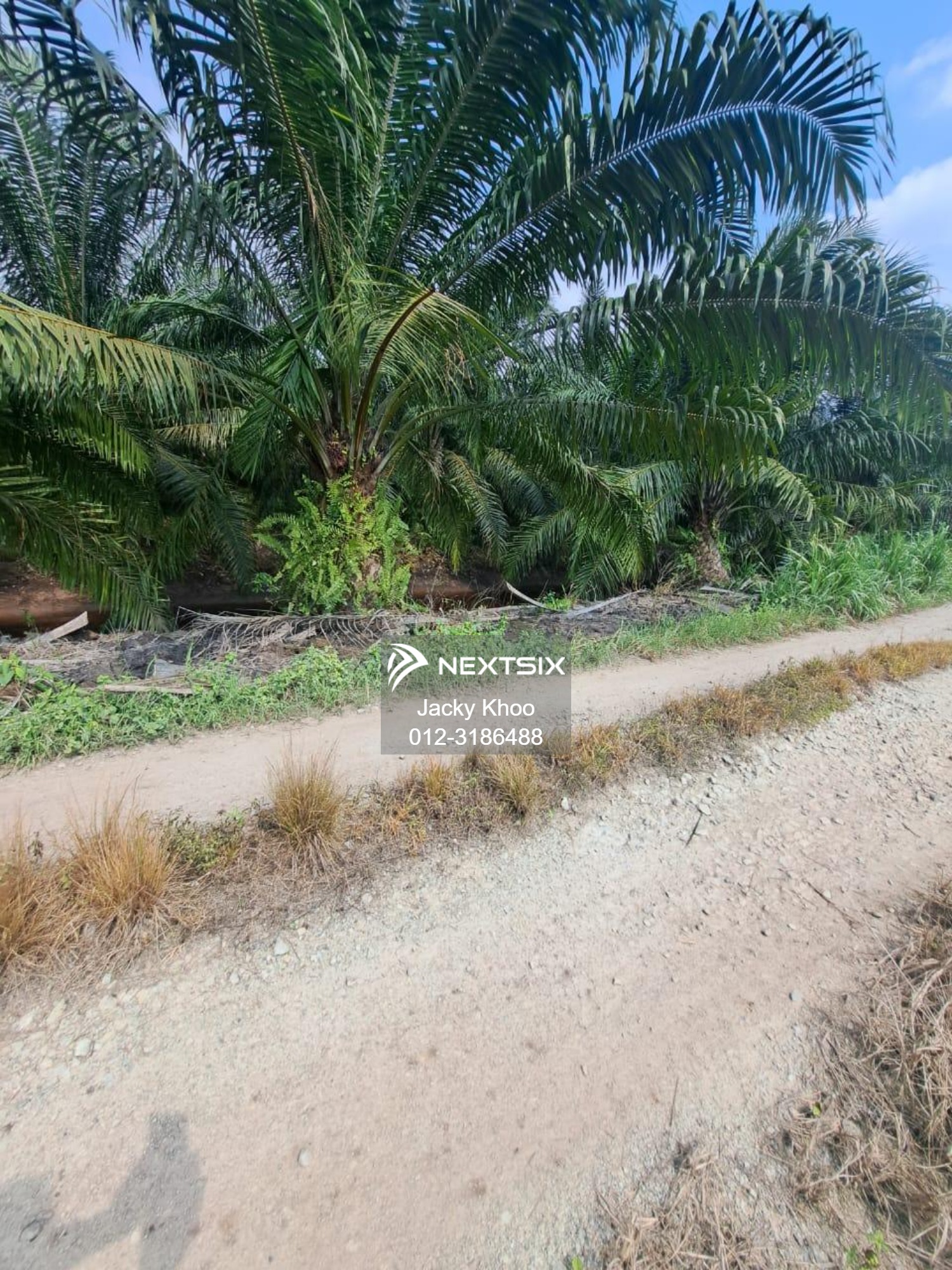 Agricultural Land For Sale in Kuala Langat Selangor - Image 6