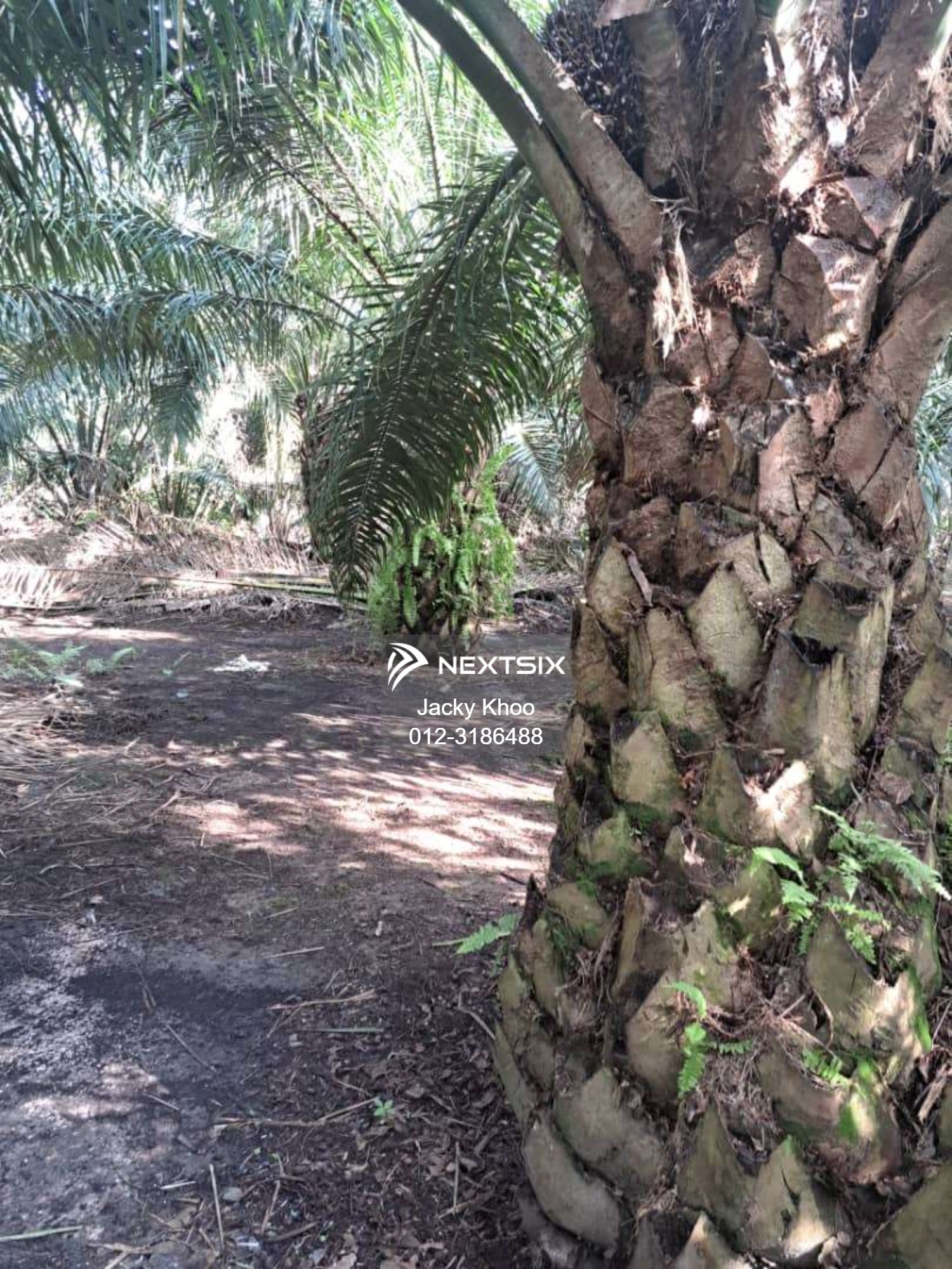 Agricultural Land For Sale in Tanjong Sepat Selangor