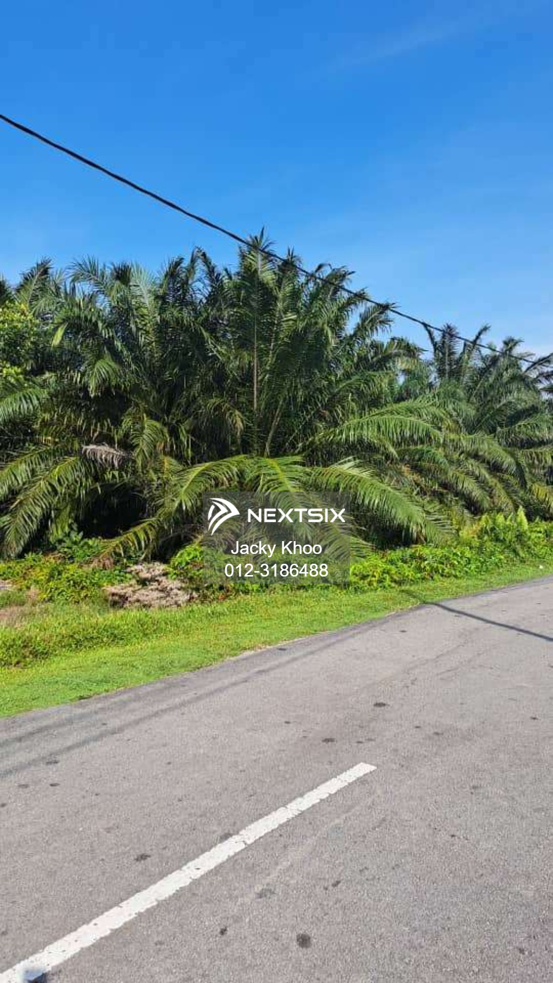 Agricultural Land For Sale in Tanjong Sepat Selangor - Image 2