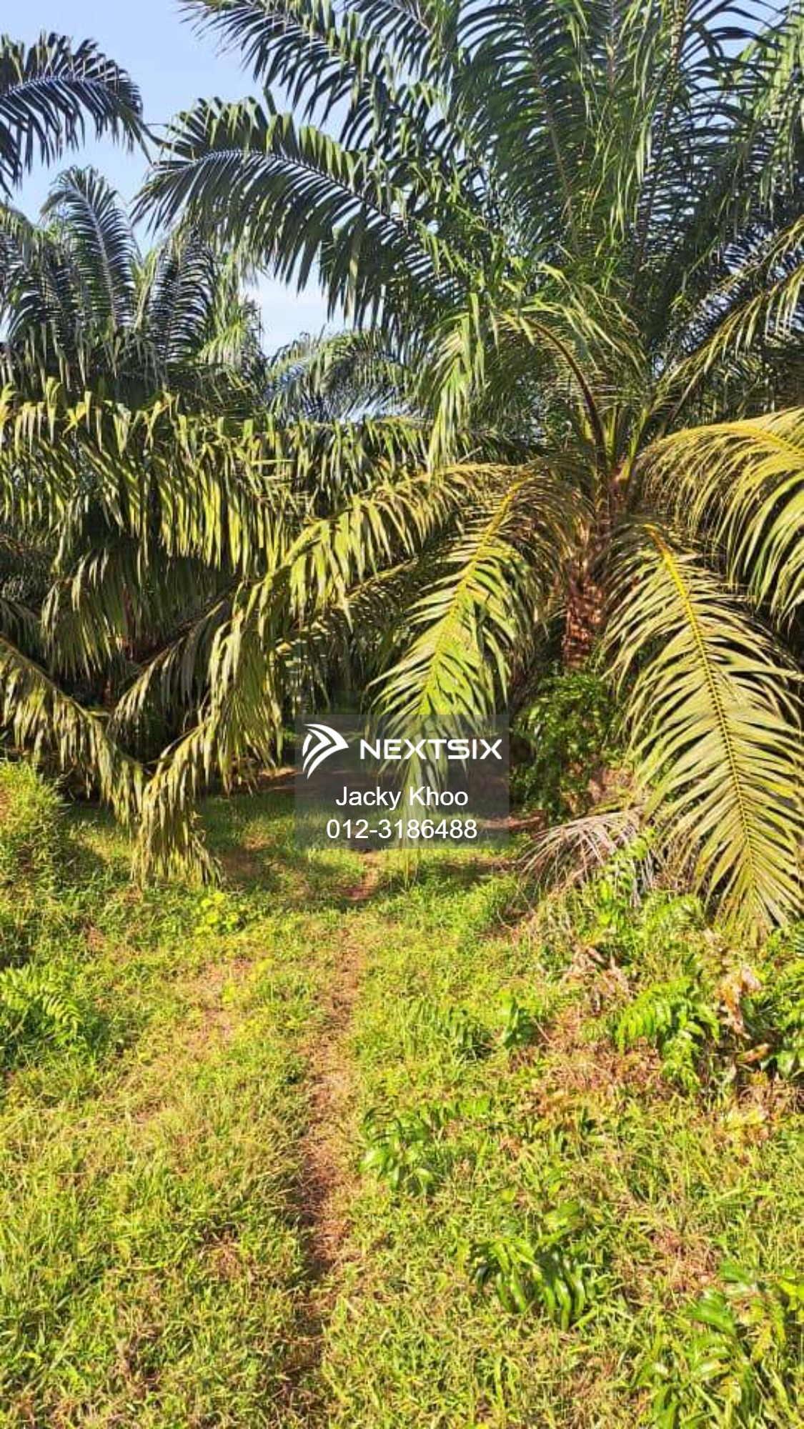 Agricultural Land For Sale in Tanjong Sepat Selangor - Image 9
